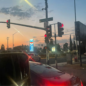 Meet your Posher, Alynah